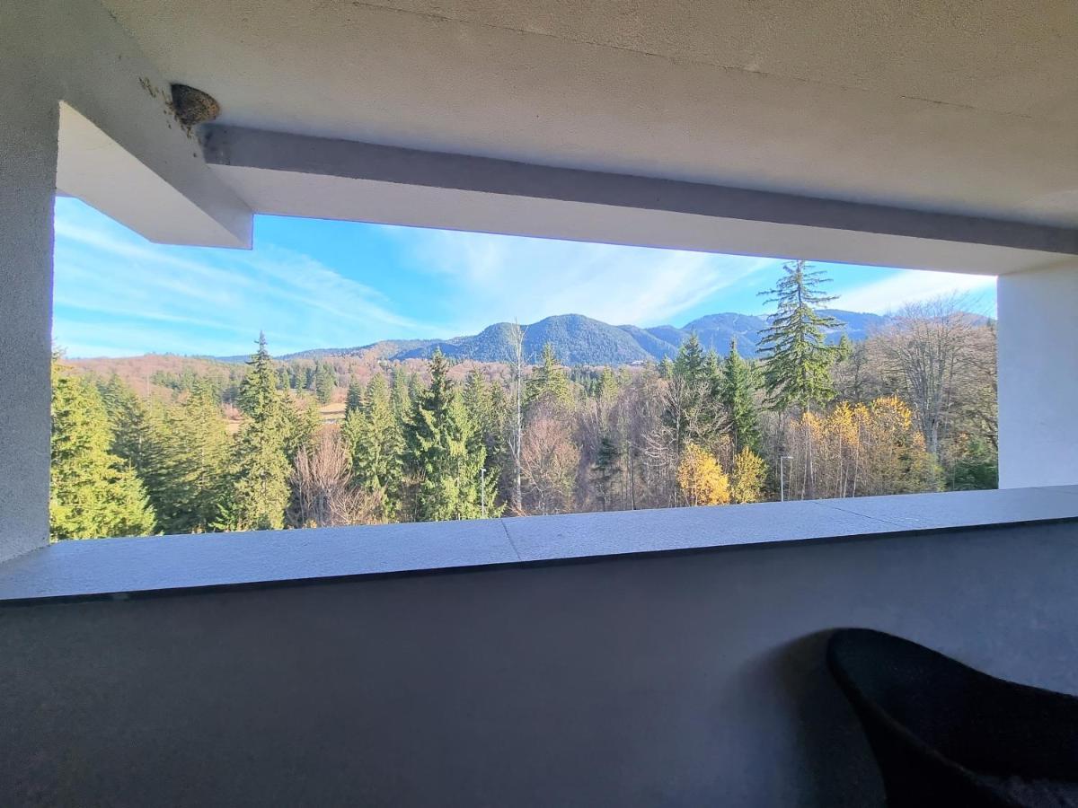 Maio Studio Silver Mountain Пояна-Брашов Экстерьер фото