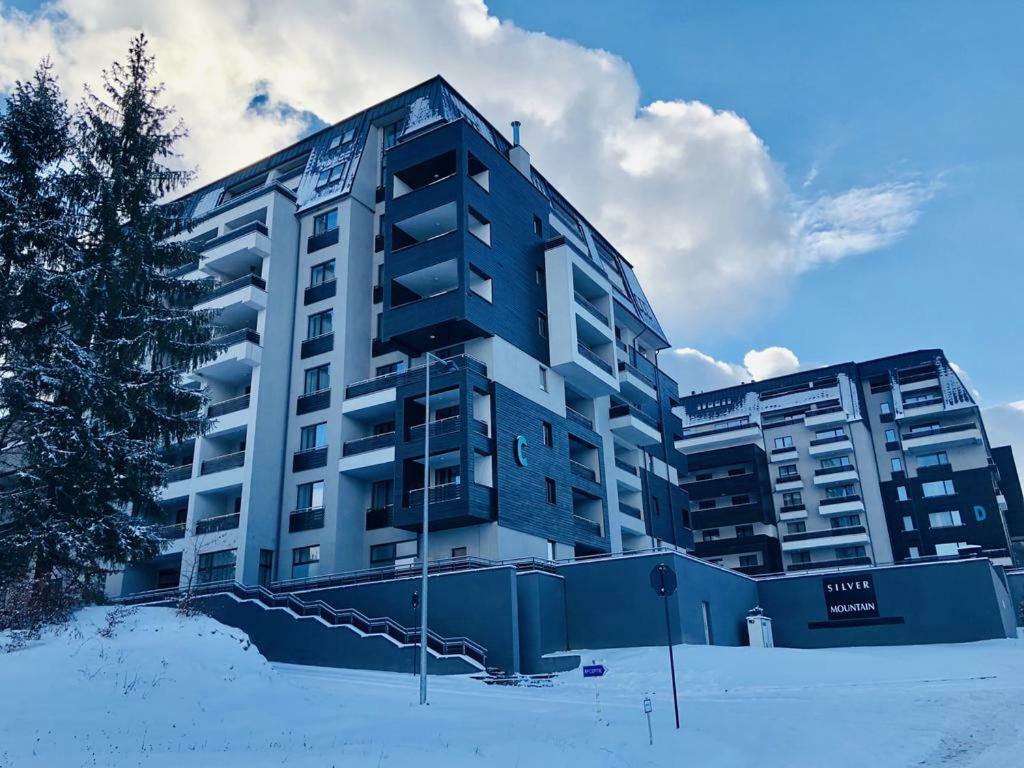 Maio Studio Silver Mountain Пояна-Брашов Экстерьер фото